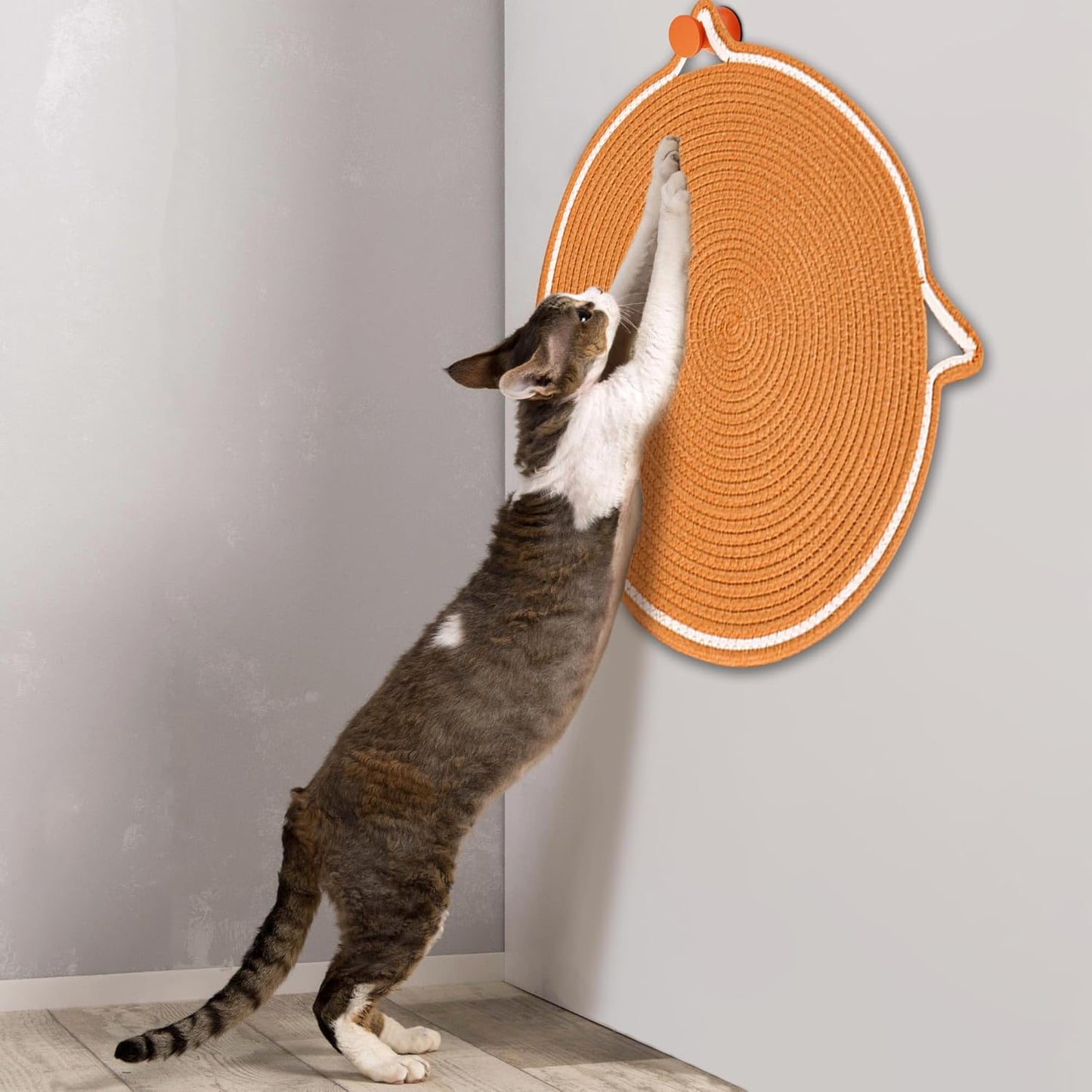 RASCADOR PARA GATOS 🐈⬛JUEGA Y PROTEJE TUS MUEBLES