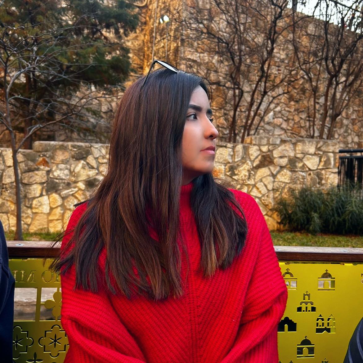 <em>Carmen</em>